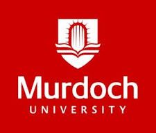 Trường đại học Murdoch